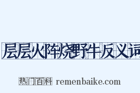 层层火阵烧野牛反义词是什么意思的图片